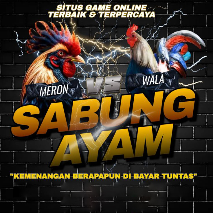 WS168 Link Situs Daftar Akun Agen Sabung Ayam Wala Meron #1